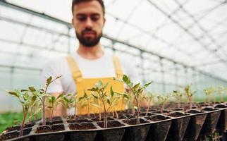 With black stand for plants in hands. Young greenhouse worker in yellow uniform have job inside of hothouse photo