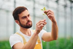 Plant inside of test tube with water. Young greenhouse worker in yellow uniform have job inside of hothouse photo