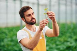 Plant inside of test tube with water. Young greenhouse worker in yellow uniform have job inside of hothouse photo