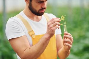 Plant inside of test tube with water. Young greenhouse worker in yellow uniform have job inside of hothouse photo