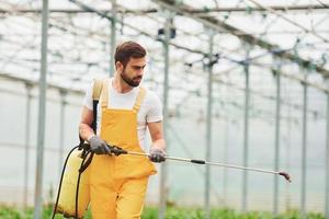 Young greenhouse worker in yellow uniform watering plants by using special equipment inside of hothouse photo