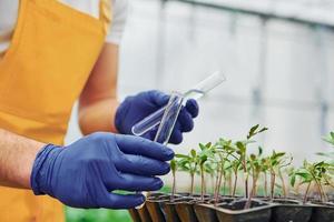 Using test tube and watering plants. Young greenhouse worker in yellow uniform have job inside of hothouse photo