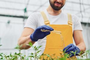 Holds test tube with water. Young greenhouse worker in yellow uniform have job inside of hothouse photo