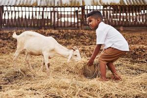 lindo niño afroamericano está en la granja en verano con cabra foto