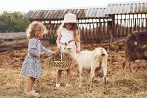 Two little girls together on the farm at summertime having weekend with goats photo