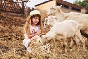 Little girl in white clothes is on the farm at summertime outdoors with goats photo