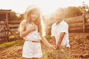 Cute little african american boy with european girl is on the farm photo