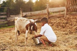 Cute little african american boy is on the farm at summertime with goat photo