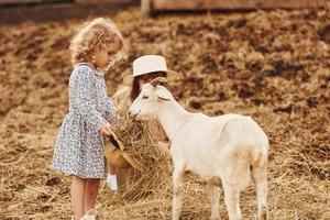 With goats. Little girl in blue clothes is on the farm at summertime outdoors photo