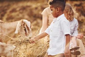 Young mother with her daughter is on the farm at summertime with goats photo