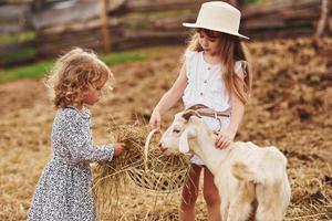 Two little girls together on the farm at summertime having weekend with goats photo