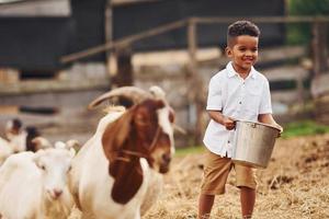 Warm weather. Cute little african american boy is on the farm at summertime with goats photo