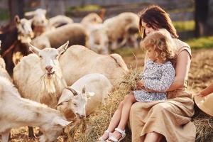 Young mother with her daughter is on the farm at summertime with goats photo