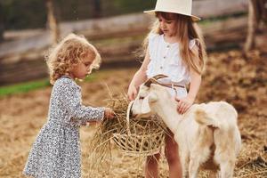 Two little girls together on the farm at summertime having weekend with goats photo