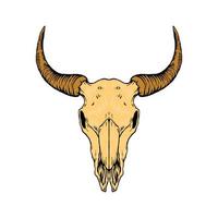 Bull skull vector illustration