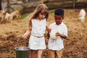 Holding milk. Cute little african american boy with european girl is on the farm with goats photo