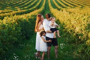 Father, mother with daughter and son spending free time outdoors at sunny day time of summer photo