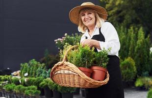 cesta de madera en las manos. la anciana está en el jardín durante el día. concepción de las plantas y las estaciones foto