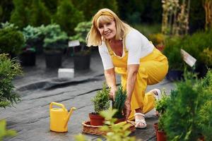 en uniforme de color amarillo. la anciana está en el jardín durante el día. concepción de las plantas y las estaciones foto