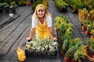 Work day. In yellow colored uniform. Senior woman is in the garden at daytime. Conception of plants and seasons photo