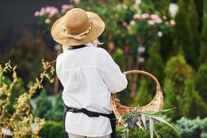 With basket in hands. Senior woman is in the garden at daytime. Conception of plants and seasons photo