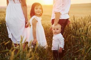 View from behind. Family of four people spending free time on the field at sunny day time of summer photo