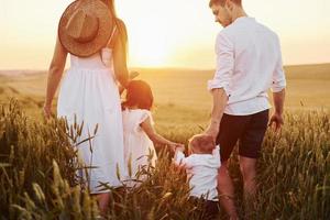 View from behind. Family of four people spending free time on the field at sunny day time of summer photo