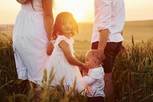 View from behind. Family of four people spending free time on the field at sunny day time of summer photo
