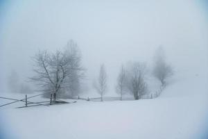 hermoso paisaje de invierno foto