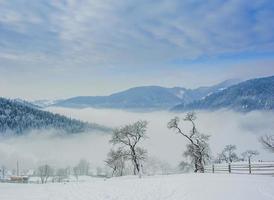 Carpathian winter mountains photo