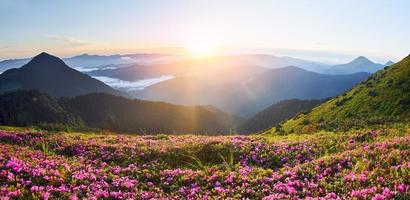 Suset time. Majestic Carpathian Mountains. Beautiful landscape of untouched nature photo