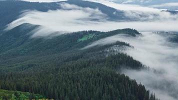 Fog covered hills. Majestic Carpathian Mountains. Beautiful landscape of untouched nature
