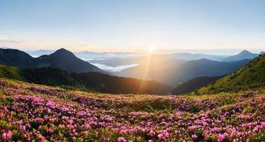 Suset time. Majestic Carpathian Mountains. Beautiful landscape of untouched nature photo