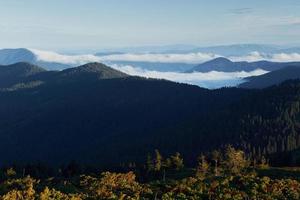 Majestic Carpathian Mountains. Beautiful landscape of untouched nature photo