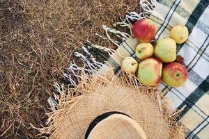Top view of fresh apples and straw hat that lying down on picnic cloth outdoors photo