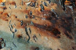 Old rusty textured metal surface. Conception of aging and decay photo