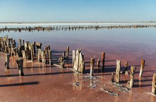 Wooden obstacles in the sea of Jarilgach island, Ukraine. At daytime photo