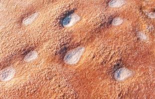 Top close up view of surface on the beach. Details of colorful soil photo