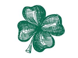 Clover set. St. Patrick's Day set. Hand drawn illustrations. vector