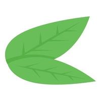 Lime leafs icon, isometric style vector