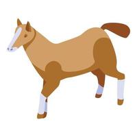 Kid horse icon, isometric style vector