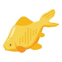 Big goldfish icon, isometric style vector