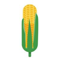 Farm corn icon, isometric style vector