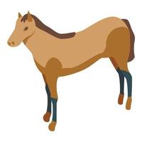 Western horse icon, isometric style vector