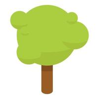 Park tree icon, isometric style vector