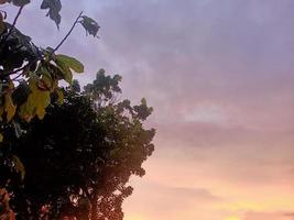 beautiful natural scenery in the blue sky, white clouds and many green trees around it photo