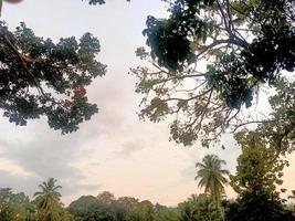 hermoso paisaje natural en el cielo azul, nubes blancas y muchos árboles verdes a su alrededor foto