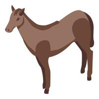 Mammal horse icon, isometric style vector