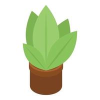 Plant pot icon, isometric style vector