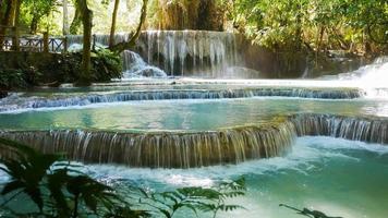 cascades de tat kuang si, belle cascade forestière du laos video